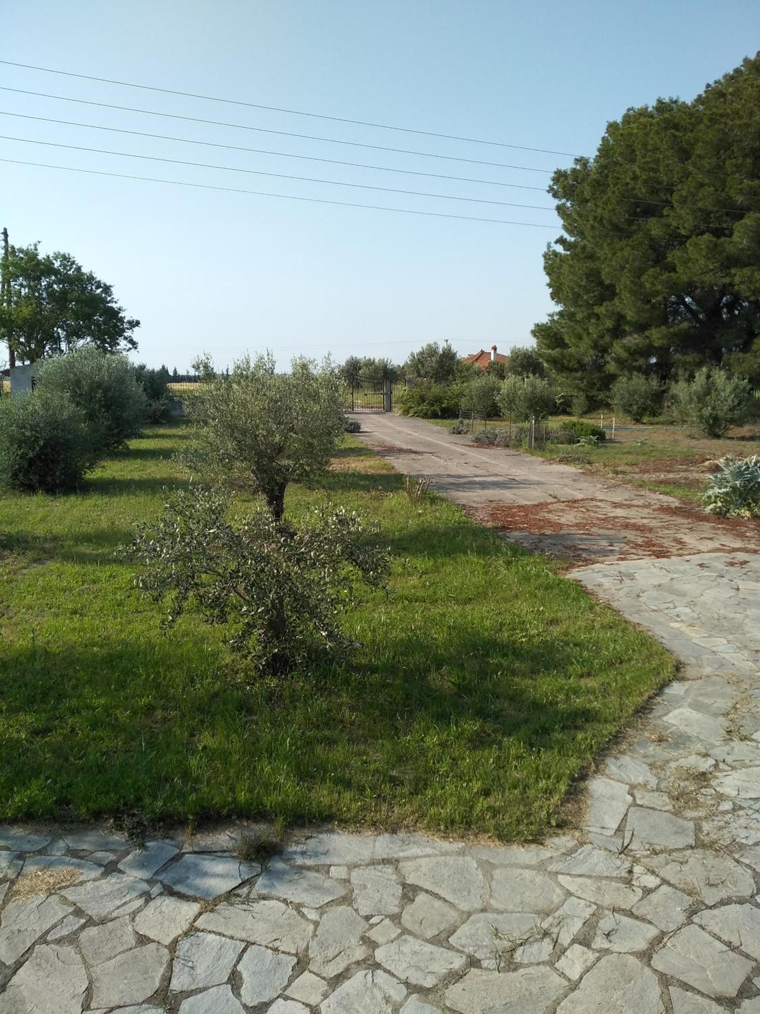 Peacock Villa Upper إبانومي المظهر الخارجي الصورة